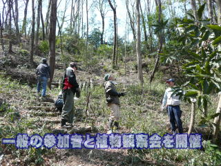 一般の参加者と植物観察会を開催 
