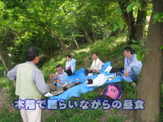 木陰で語らいながらの昼食です。 
